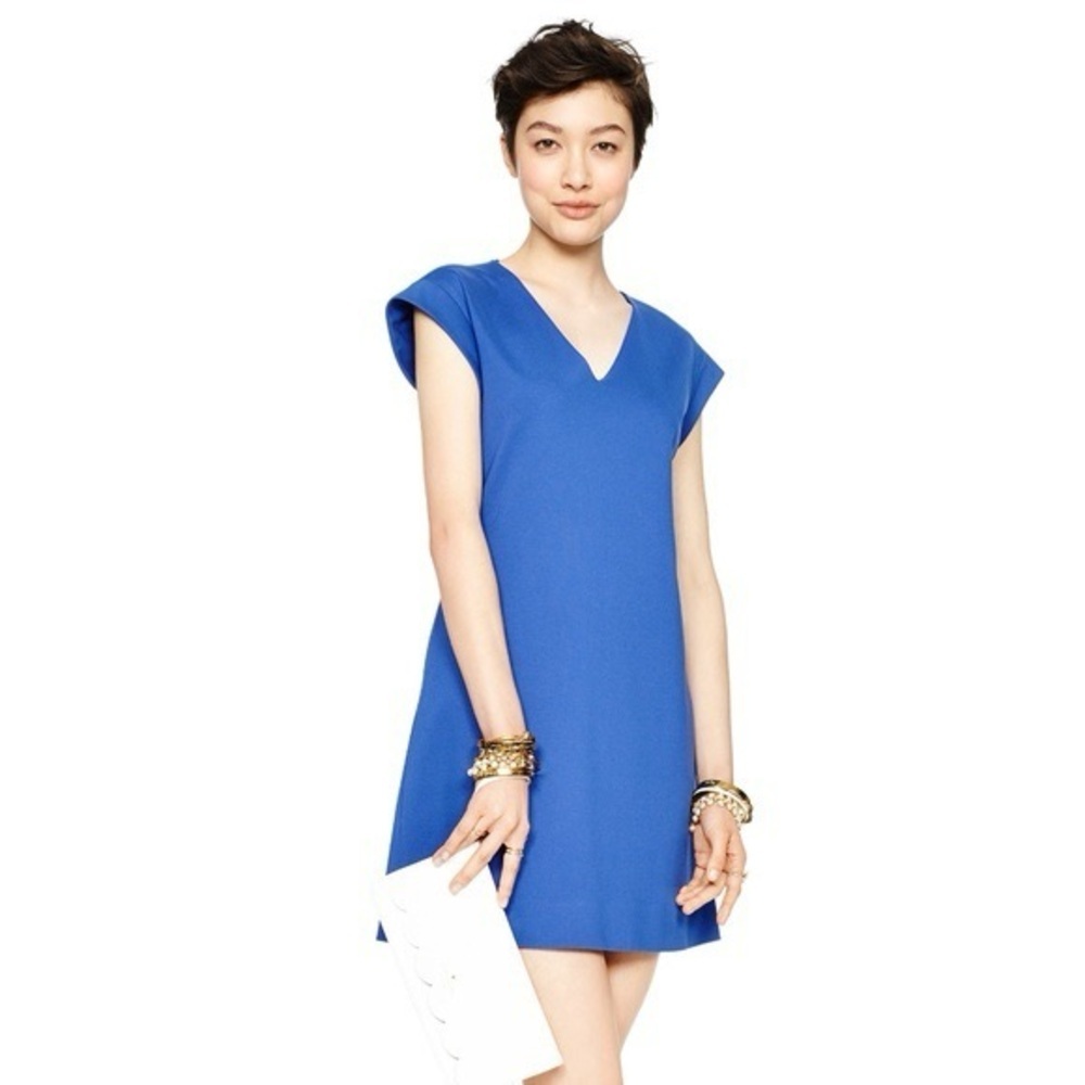 Kate Spade Blue Cap Sleeve Mini Dress